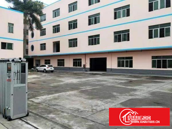 万江独门独院标准厂房2层2500平方出租