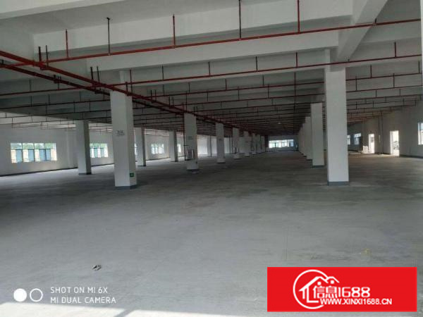 惠州市博罗县高新产业园全新标准厂房出租