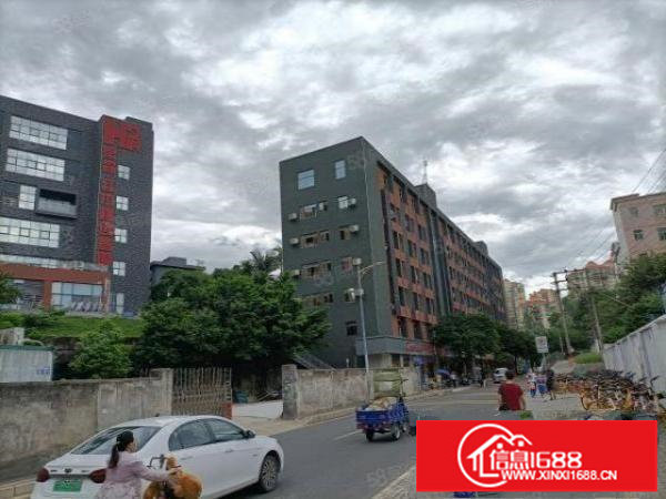 布吉兴展科技园12000平方厂房出租