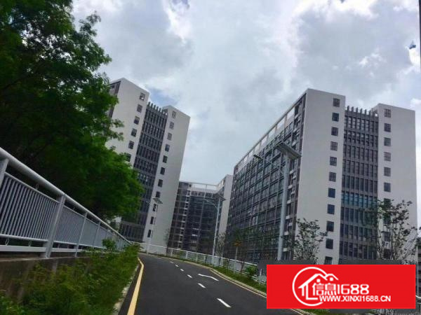 出租龙岗区坪地低碳城旁边红本标准厂房大小分组停车方便