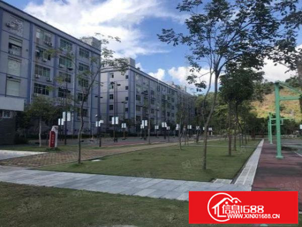 龙华清湖新出一楼带装修720平厂房出租