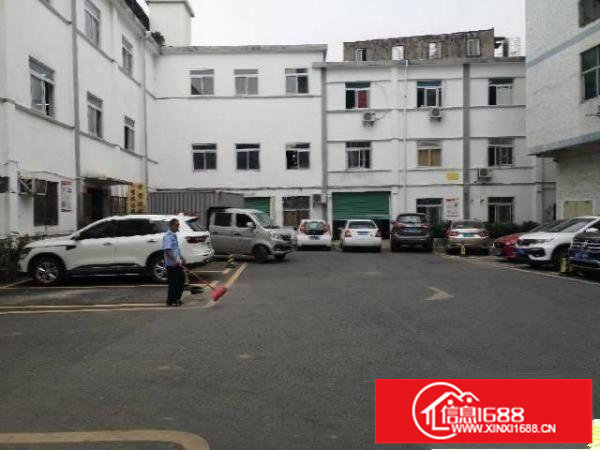 出租坪山碧岭2800平原房东红本独院厂房