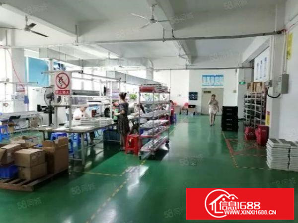 观澜福民楼上450平精装修厂房出租