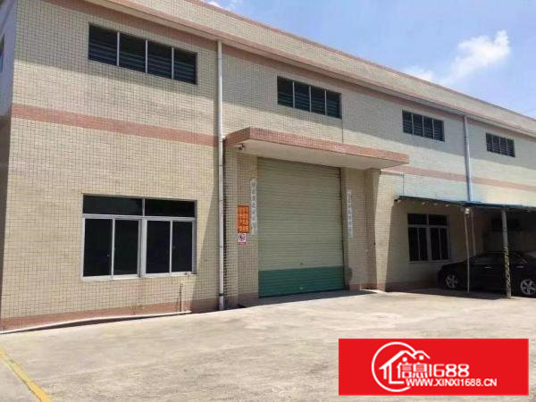 石排新出独门独院单一层钢构厂房