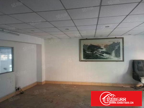 茶山镇新出1680单一层经典小独院临东部快线