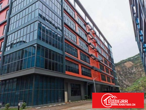 大岭山国有红本全新园区标准100000平米可分栋出租