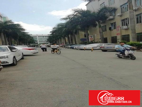 龙华大浪新百丽附近新出1350平厂房带精装修出租