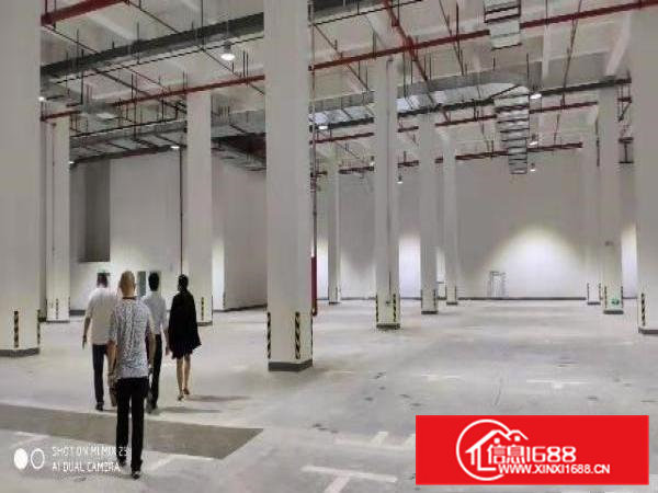 寮步凫山大型科技园3万平方,可分租，形象好空地大