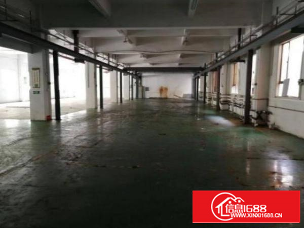 茶山博头村一楼1000平方厂房出租带现成办公室行车