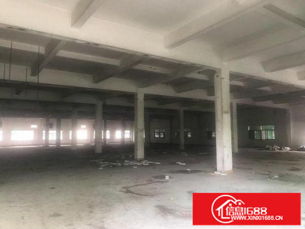 桥头镇原房东独院标准厂房招租