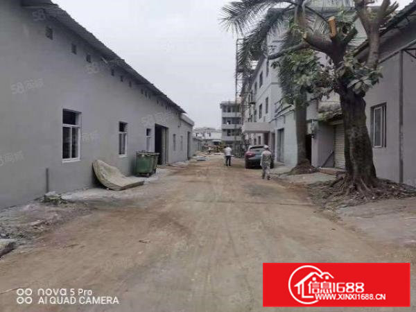 凤岗新出独院10000平方可分租价格优惠