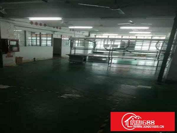 急租！布吉秀峰A5830平带办公室200起分租(免中介费)