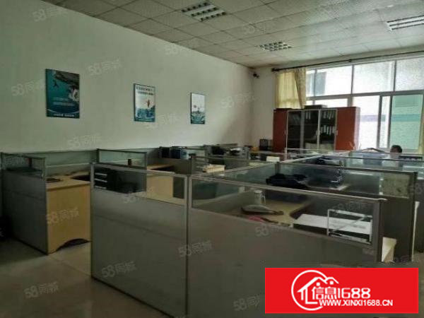 公明下村一手房东独院出租3层3600平高度6米可分租