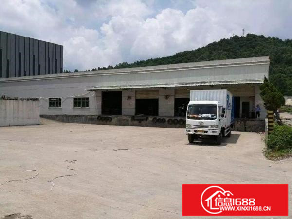 横岗9000平米物流仓库，1000平米起租，带平台