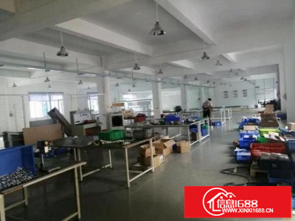 观澜新田带装修458平米厂房出租