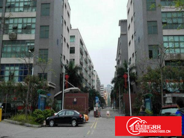 大浪联建科技园新出三楼740平带装修厂房招租