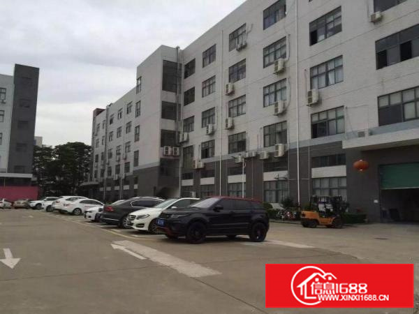 龙岗宝龙新出1楼800平米6米高可分租