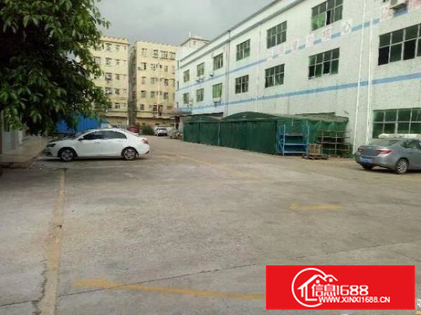 惠阳秋长650平一楼带装修厂房出租高6米空地大