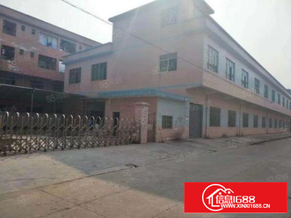 万江简沙洲楼房独院2500平方，空地超大