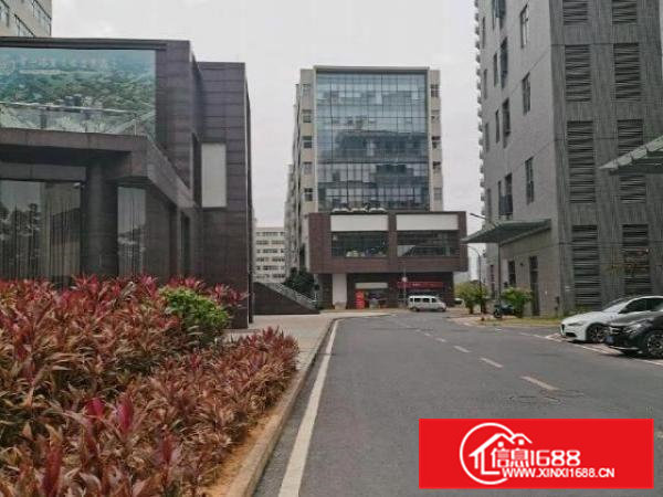 5.6米高含消防及环评的原房东高端厂房常平镇