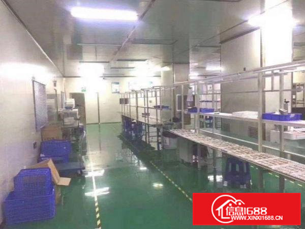 大朗巷尾工业区新出楼上1000平带精装豪华装修厂房出租