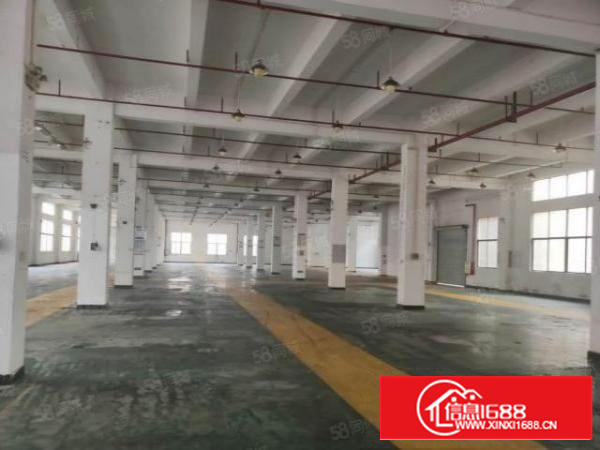 石排利峰广场附近原房东分租一楼5.5米高厂房1000平招租