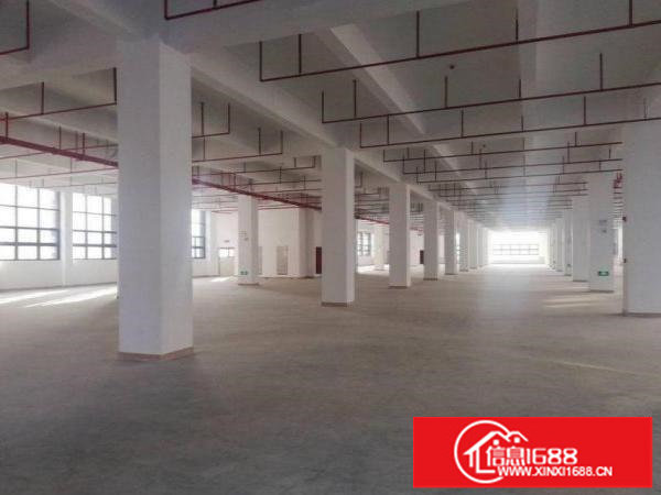 横岗四联豪华装修厂房楼上2950平出租可分租，现成装修