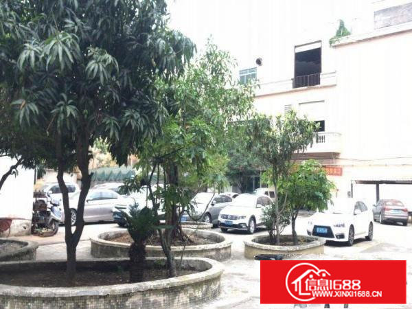 出租虎门镇路东环评厂房