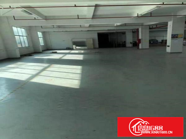 凤岗官井头带装修电子/电池厂房出租2300平方近大运城邦