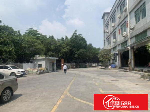 坪山坑梓秀新一楼380平层高5.8米带牛角厂房出租