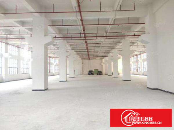 凤岗全新一楼7.5米高带牛角3000平方厂房整层出租可分租