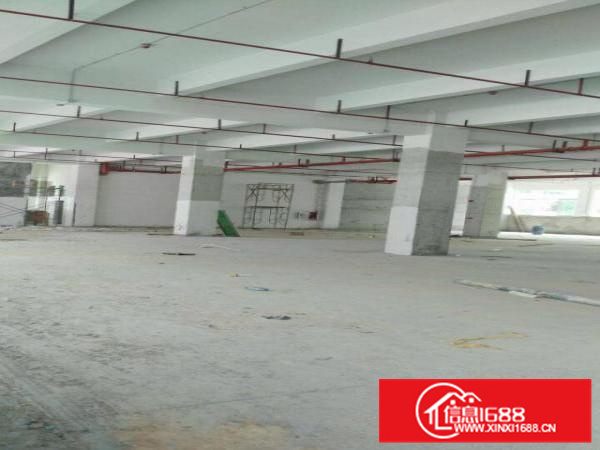 大亚湾全新新亿科技园整体、分层、分栋出租