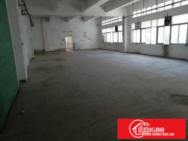 坪山三洋湖工业新出超大独院厂房200平起招租