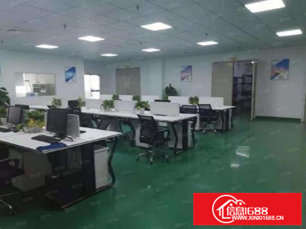 石排水贝楼上1300平方无尘车间出租精装修