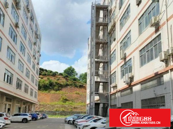 清溪三中工业区一二楼总3600平带精装修办公室超大空地可分租