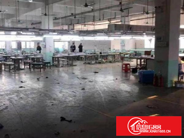 一层过2400平方带办公室带大货梯交通方便价钱优惠