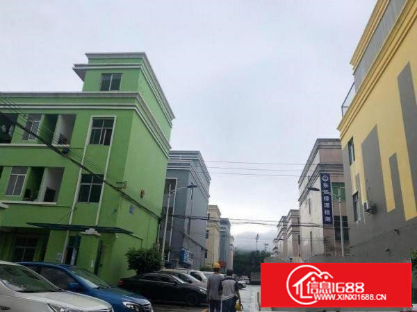 坪山中心新出1000平一楼平价出租,150平起分租