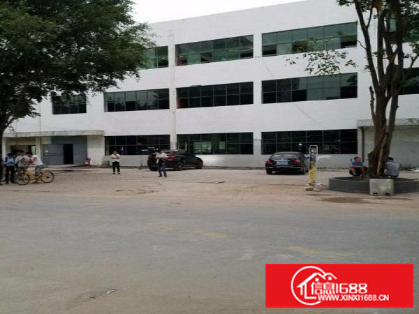 出租龙华新区民治一楼物流仓库场地