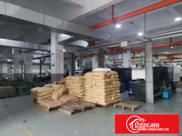 清溪三中新空出一楼1200平，现成行车地坪漆，形象好