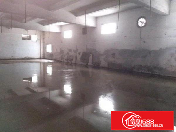 原房东一楼，0公摊，实用面积出租