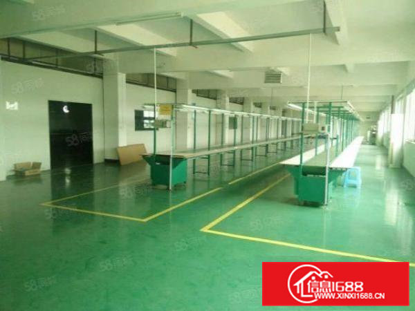 东坑原房东独院标准厂房3800平方出租