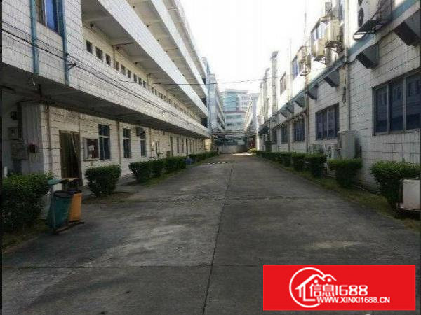 出租龙岗区龙东楼上1200平方楼上带消防喷淋厂房