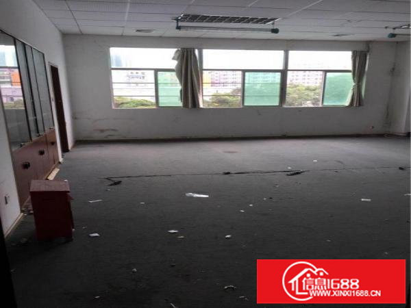 五和坂田杨美地铁口办公厂房仓库出租可分组