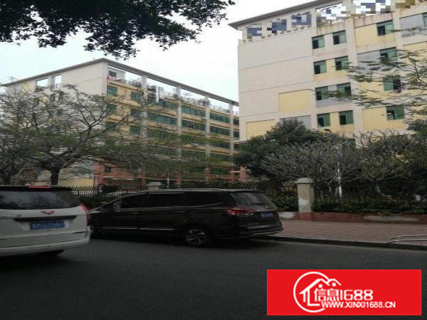 丹竹头红棉路附近花园式厂房楼上340平米可分租带精装修