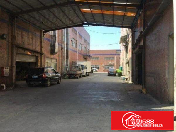 出租|大岭山连马路边新出450标准厂房招租层高7米，好进出车