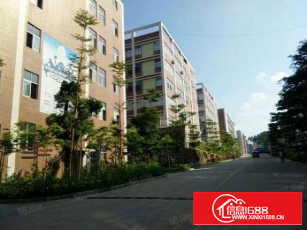 原房东直租5层12500平漂亮独院厂房有房产证有消防喷淋