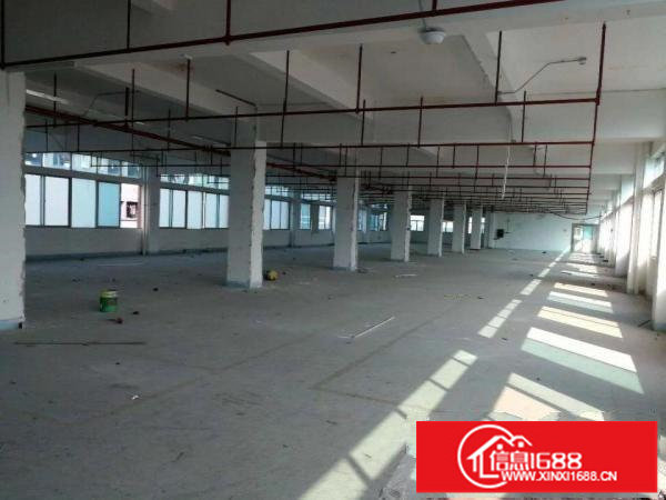 龙岗龙东100平至1200平原房东精装修厂房