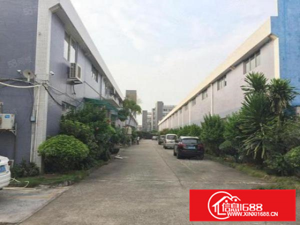 独门独院厂房出租,形象好,中高10米,带吊机,交通方便