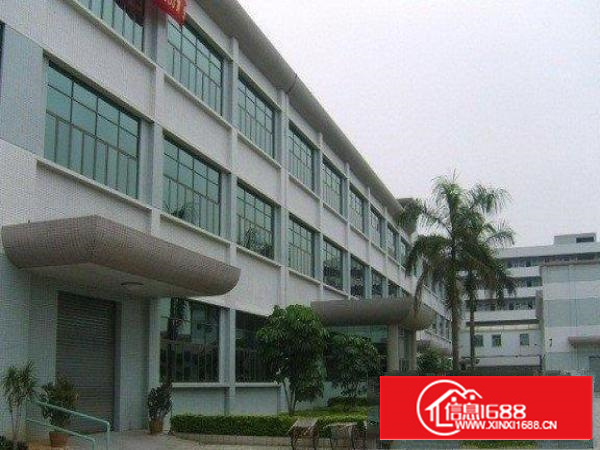 万江?附近独院标准厂房1800平方两层出租带消防喷淋价格便宜