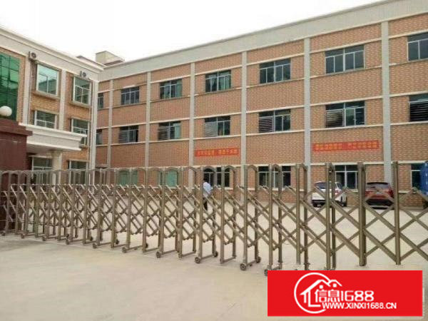 坪山新出秒杀楼上720平，带装修有办公室，电梯两吨